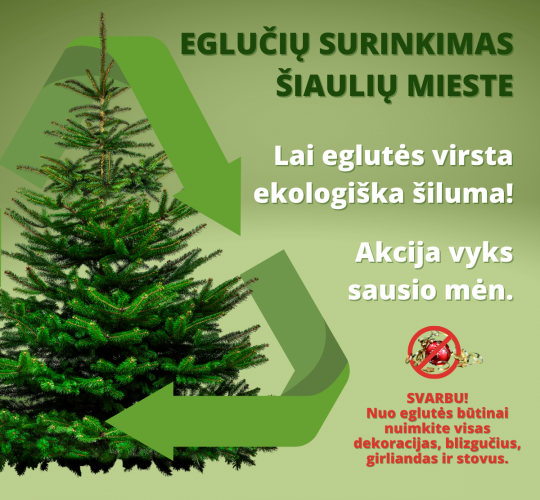 Eglučių surinkimo stotelės Šiaulių mieste